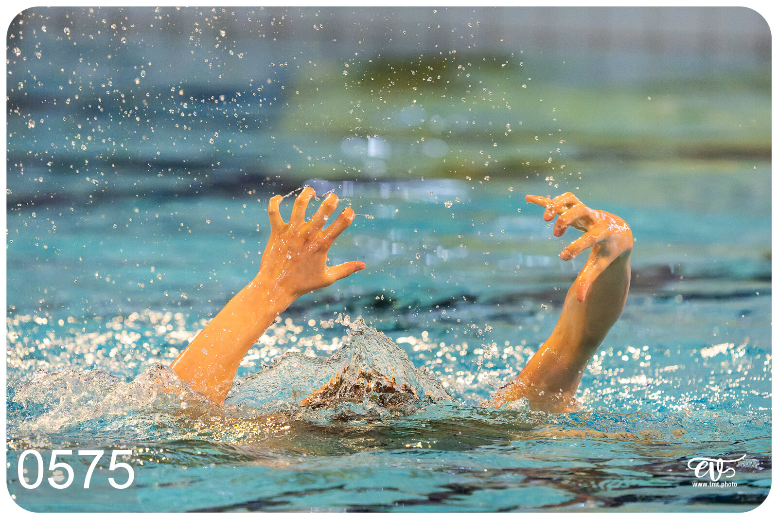 CHAMPIONNAT DE FRANCE DE NATATiON ARTISTIQUE N1 & ELITE 2026